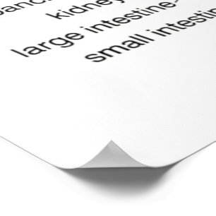 Poster Gráfico de Reflexologia 24X36"