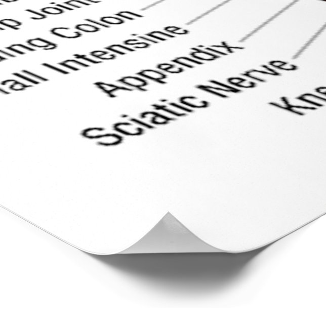 Poster Gráfico de Reflexologia 30X40" (Borda)