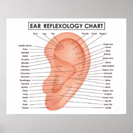 Póster Gráfico de Reflexologia Auricular de 20" x 16", Po