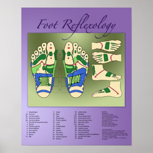 Poster Gráfico de Reflexologia do Pé (Frente)