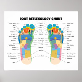 Poster Gráfico de Reflexologia dos Pés 20" x 16" (Matte)