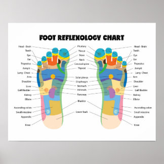 Poster Gráfico de Reflexologia dos Pés 20" x 16" (Matte)
