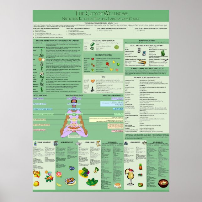 Poster Gráfico de Remédios Espirituais Naturais (Frente)