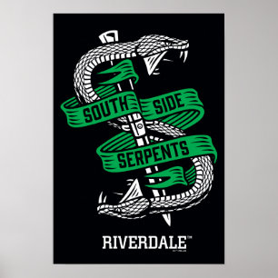 Poster Gráfico de Serpentes Lados do Sul