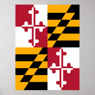 Póster Gráfico de Sinalizador de Maryland