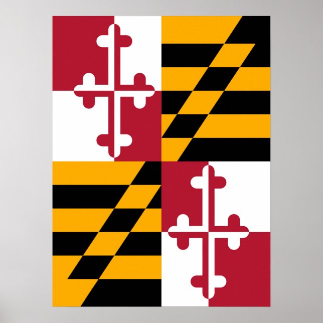 Póster Gráfico de Sinalizador de Maryland (Frente)