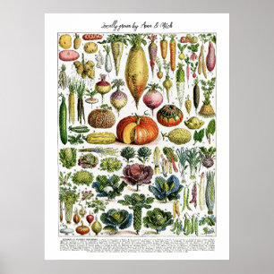 Poster Gráfico de Vegetais de Vintagem Franceses Cultivad