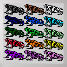 Gráfico do Sapo arco-íris