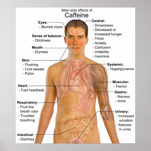 Poster Gráfico dos principais efeitos secundários da cafe (Frente)