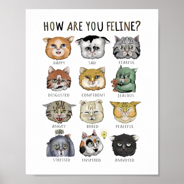 Poster Gráfico Engraçado De Sentimento De Gato Como Você  (Frente)