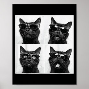 Poster Gráfico Engraçado Gato Fotobooth Selfie Funny _2