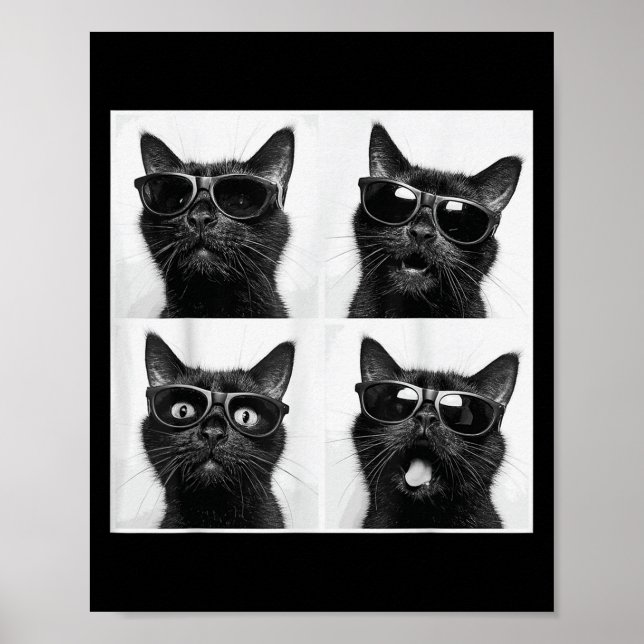 Poster Gráfico Engraçado Gato Fotobooth Selfie Funny _2 (Frente)