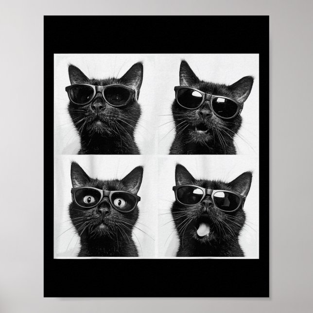 Poster Gráfico Engraçado Gato Fotobooth Selfie Funny_5 (Frente)
