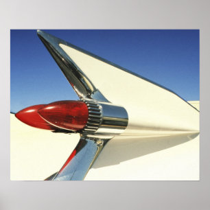 Poster Gráfico: Fecho da barbatana e luz de cauda acesa