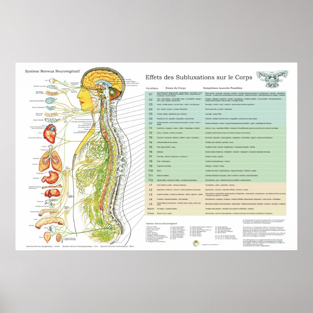 Póster Gráfico Francês de Efeitos de Subluxações ANS (Frente)