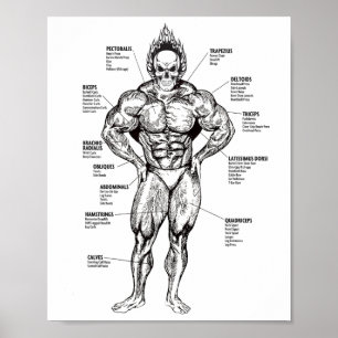 Poster Gráfico Muscular e Guia de Exercícios - Motivação 