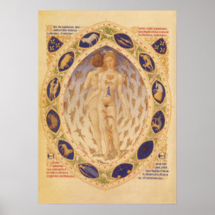 Póster Gráfico Zodíaco Celestial Antiquado, Astrologia Vi