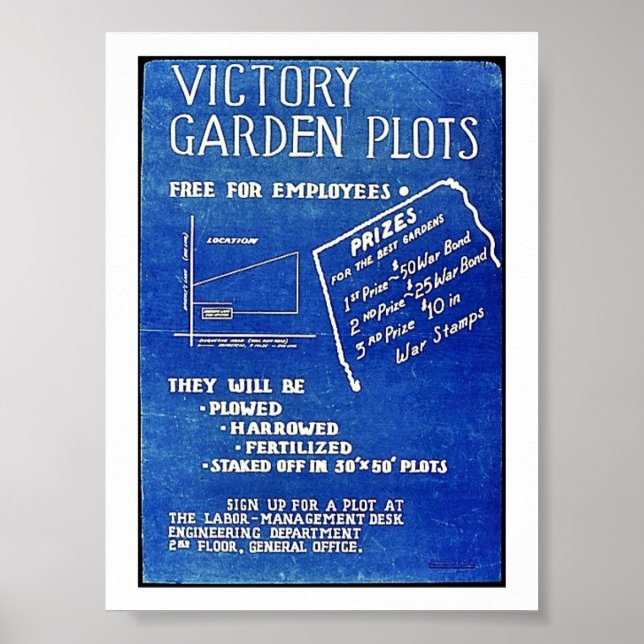 Poster Gráficos De Jardim Vitorioso, Gratuitos Para Funci (Frente)