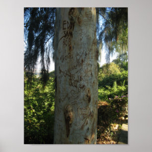 Póster Grafite de árvore tailandês