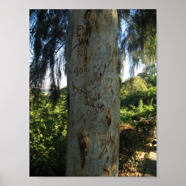 Póster Grafite de árvore tailandês (Frente)