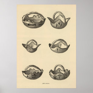 Póster Grails de Zuni