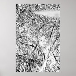 Poster Grama de Alienígena branca