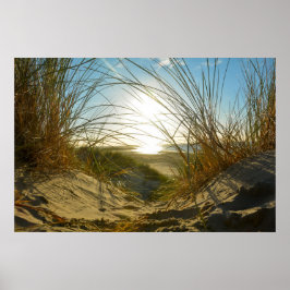 Poster Grama de dunas e mar  -