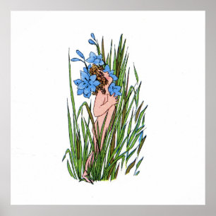 Poster Grama De Olhos Azuis