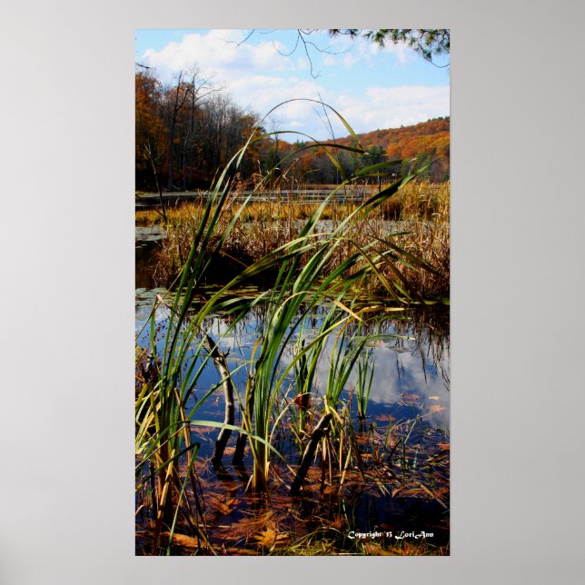 Póster Grama de pântano (Frente)