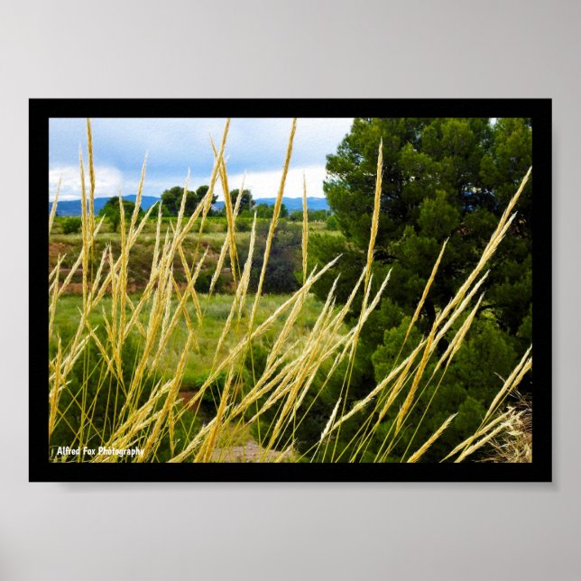 Poster Grama Selvagem do Campo (Frente)