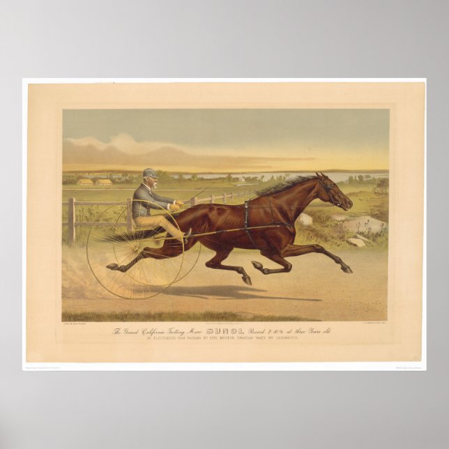 Póster Grand California Trotting Mare Sunol (0652A) (Frente)
