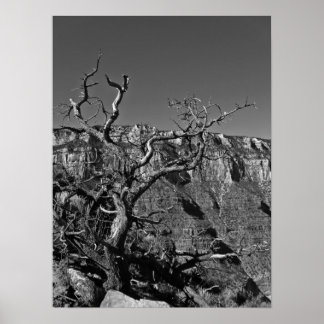 Póster Grand Canyon #1