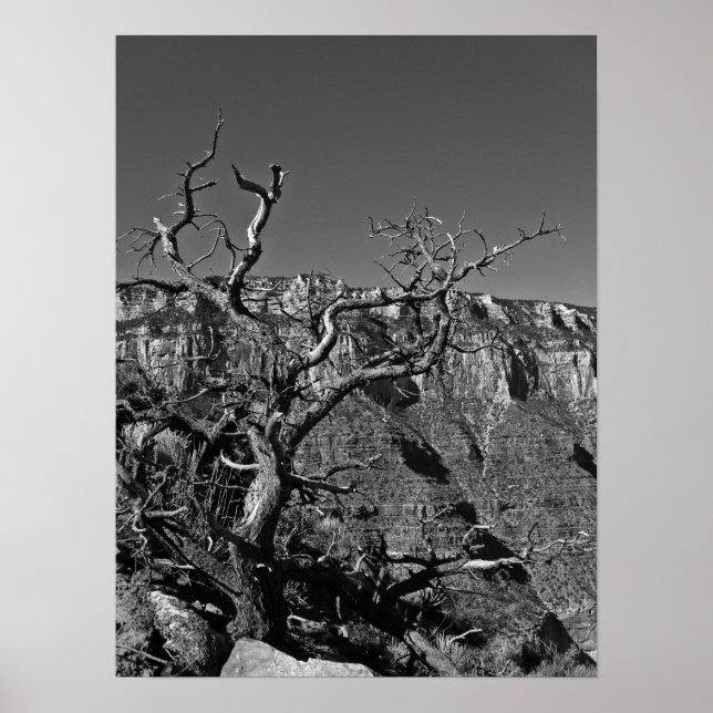 Póster Grand Canyon #1 (Frente)