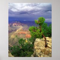Grand Canyon National Park, Arizona, United 3