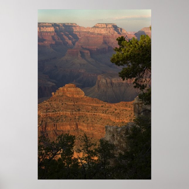 Poster Grand Canyon View (Frente)