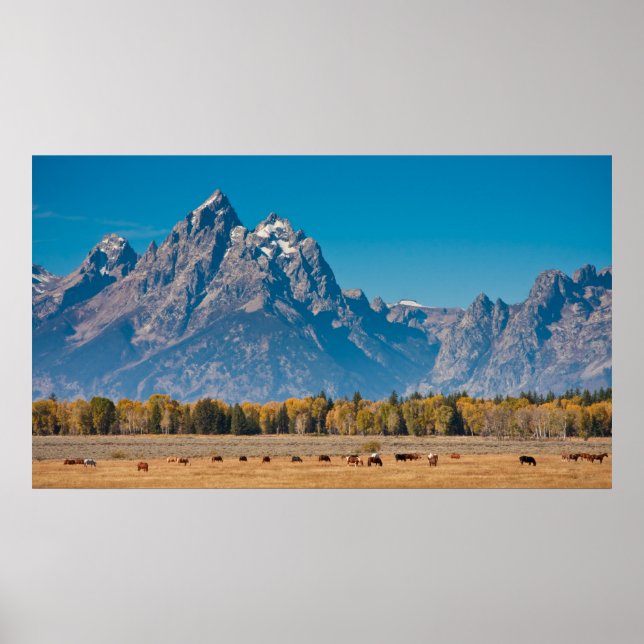 Póster Grand Teton (Frente)
