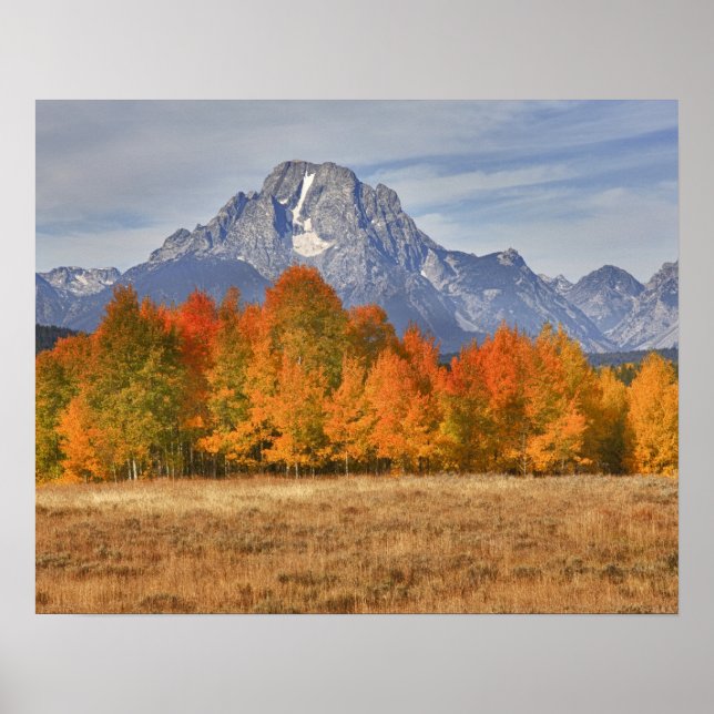 Poster Grand Teton NP, Monte Moran e aspineas (Frente)