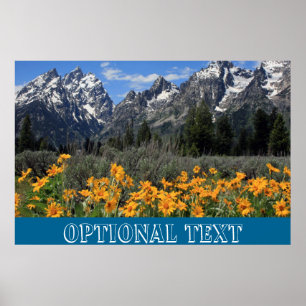 Poster Grand Teton Springtime Souvenir Foto