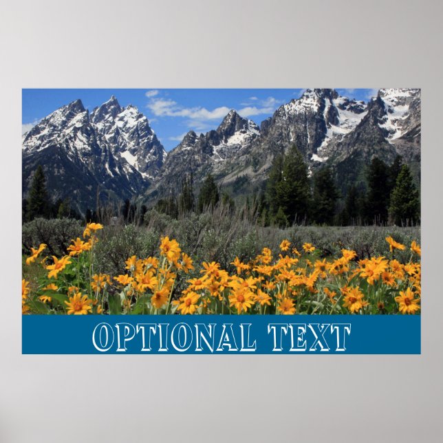 Poster Grand Teton Springtime Souvenir Foto (Frente)