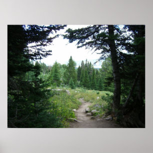 Poster Grand Teton Trail
