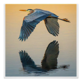 Póster Grande Arte de Parede de Garça Azul | Elegante Pos
