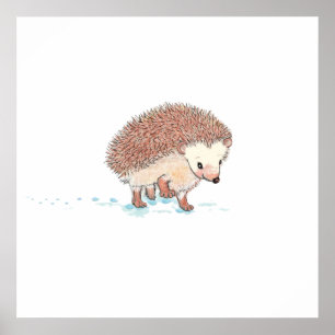 Poster Grande Aventura de Hedgehog