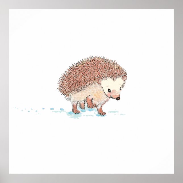 Poster Grande Aventura de Hedgehog (Frente)