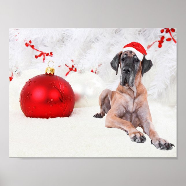 Poster Grande Cachorro Dane Chapéu Feliz Natal Ornamento  (Frente)