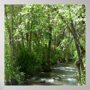 Poster Grande Creek no Verão......