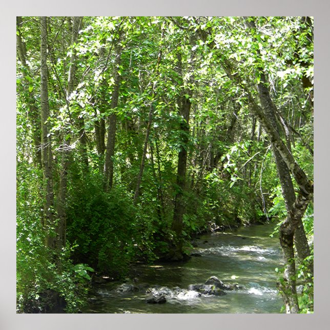 Poster Grande Creek no Verão...... (Frente)