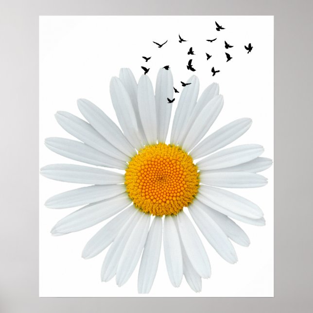 Poster Grande Daisy Flower com bando de aves voadoras. (Frente)