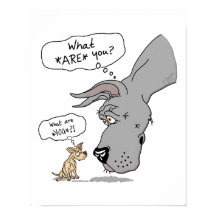 Grande Dane e Chihuahua Azul