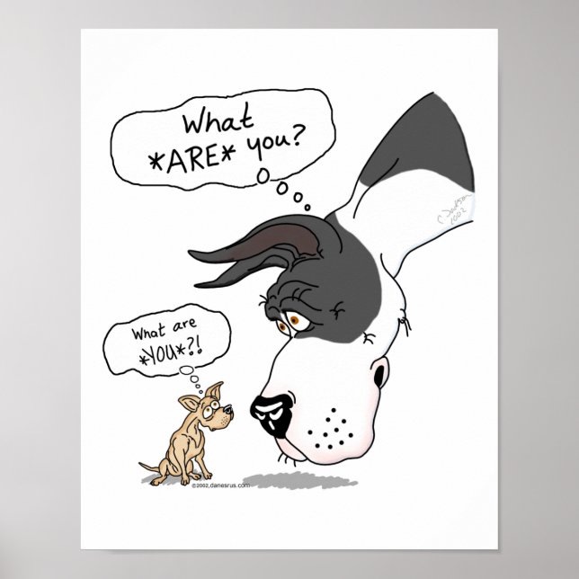 Póster Grande Dane e Chihuahua Mantle (Frente)