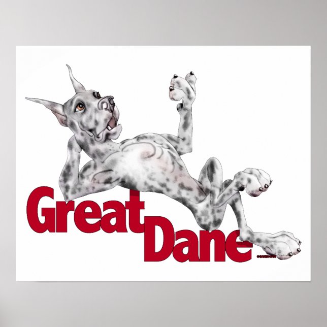 Póster Grande Dane Laid Back Merle (Frente)